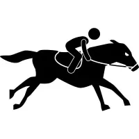 Bet on horse racing in 1Win